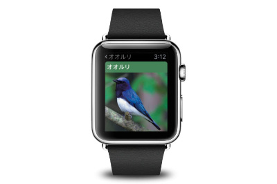 Apple Watchで野鳥を検索 ヤマケイの野鳥図鑑アプリが対応 ケータイ Watch