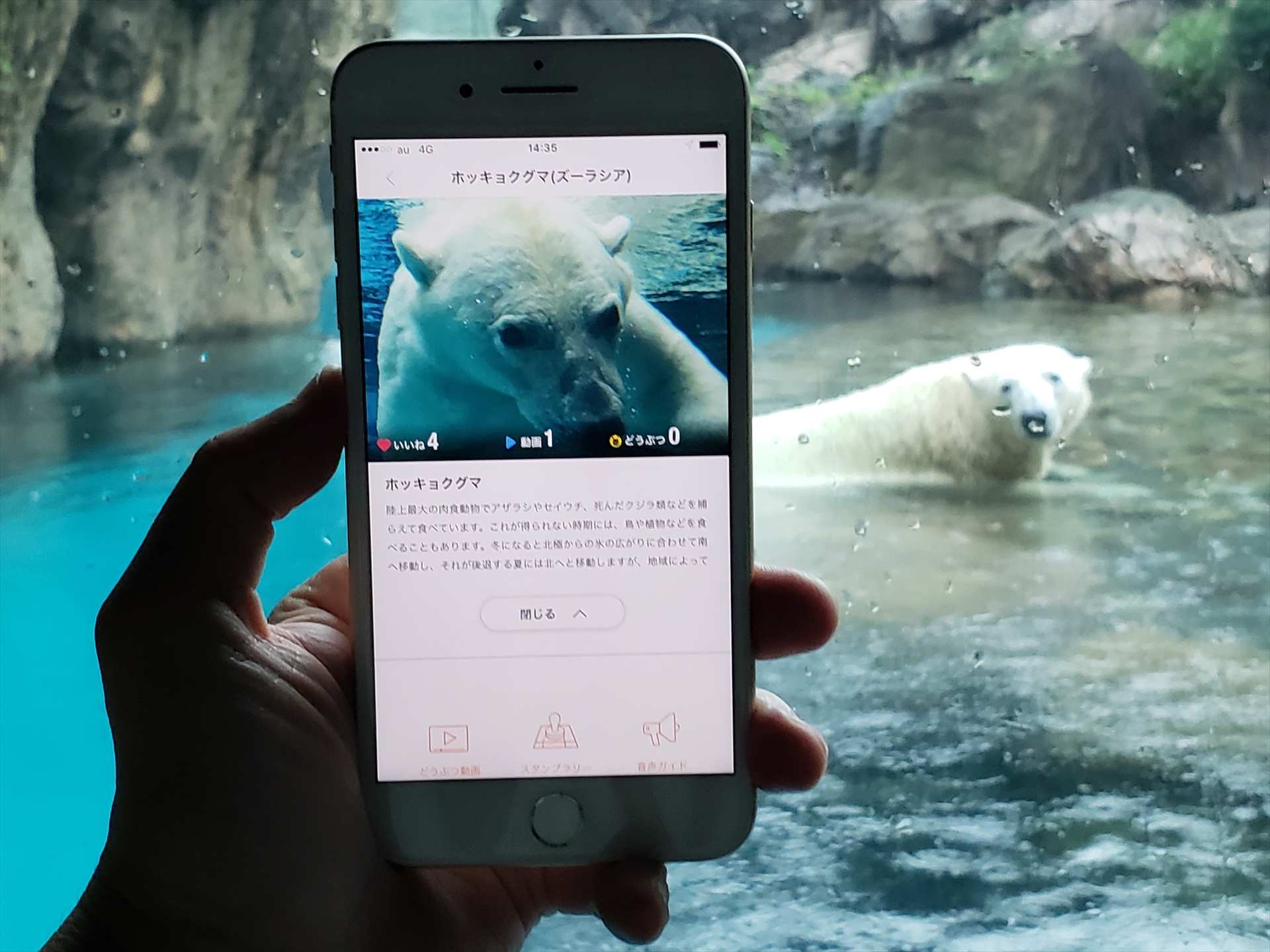 KDDI、動物園をもっと楽しめる「one zoo」をキャリアフリーで提供