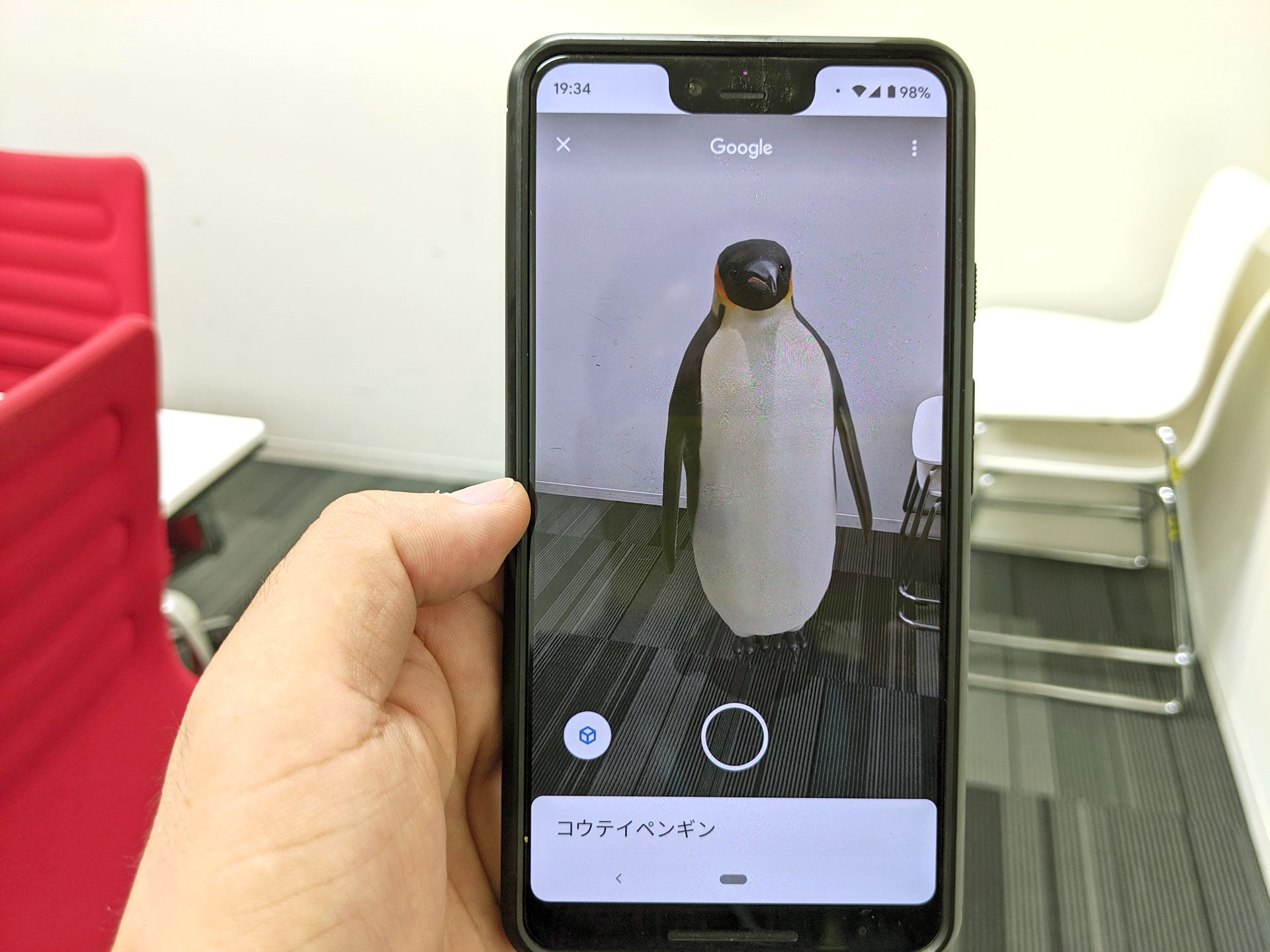 Google検索で動物のar 登場するのは全部で29 その種類をよく見たら