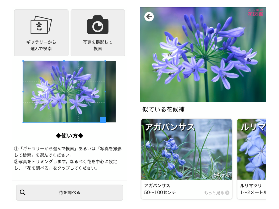 みんなの花図鑑で新機能 写真で花の名前を検索できる 写真で調べる コノハナナニ ケータイ Watch