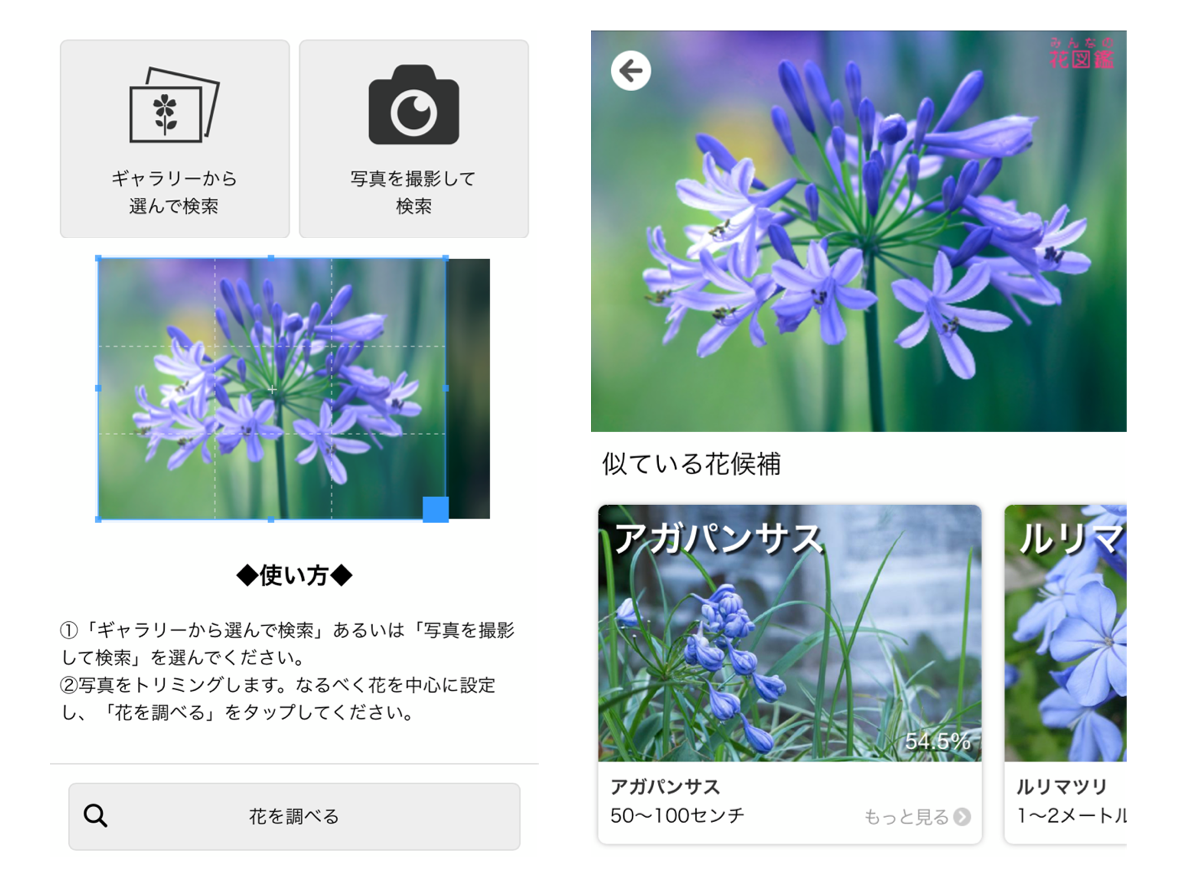 みんなの花図鑑で新機能、写真で花の名前を検索できる「写真で調べる『コノハナナニ』」 ケータイ Watch 6549