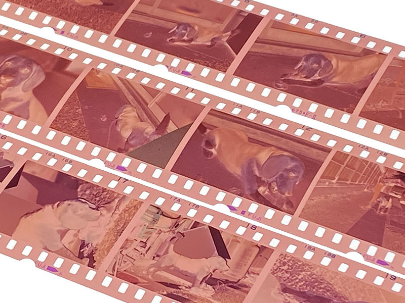 写真フィルム×約170本をデジタル化した話 - ケータイ Watch