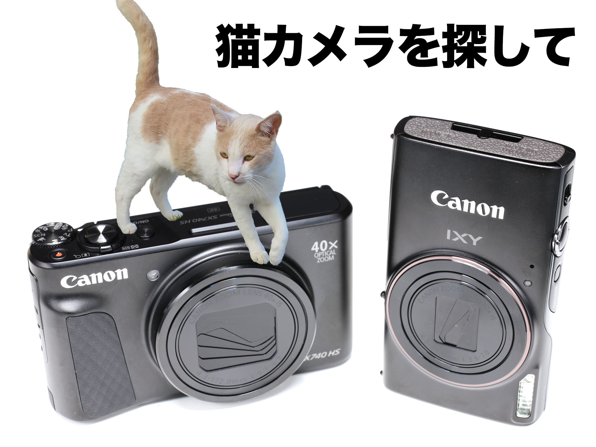 猫カメラに最適なのはどっちだ!? キヤノンのコンデジ2台を衝動買い
