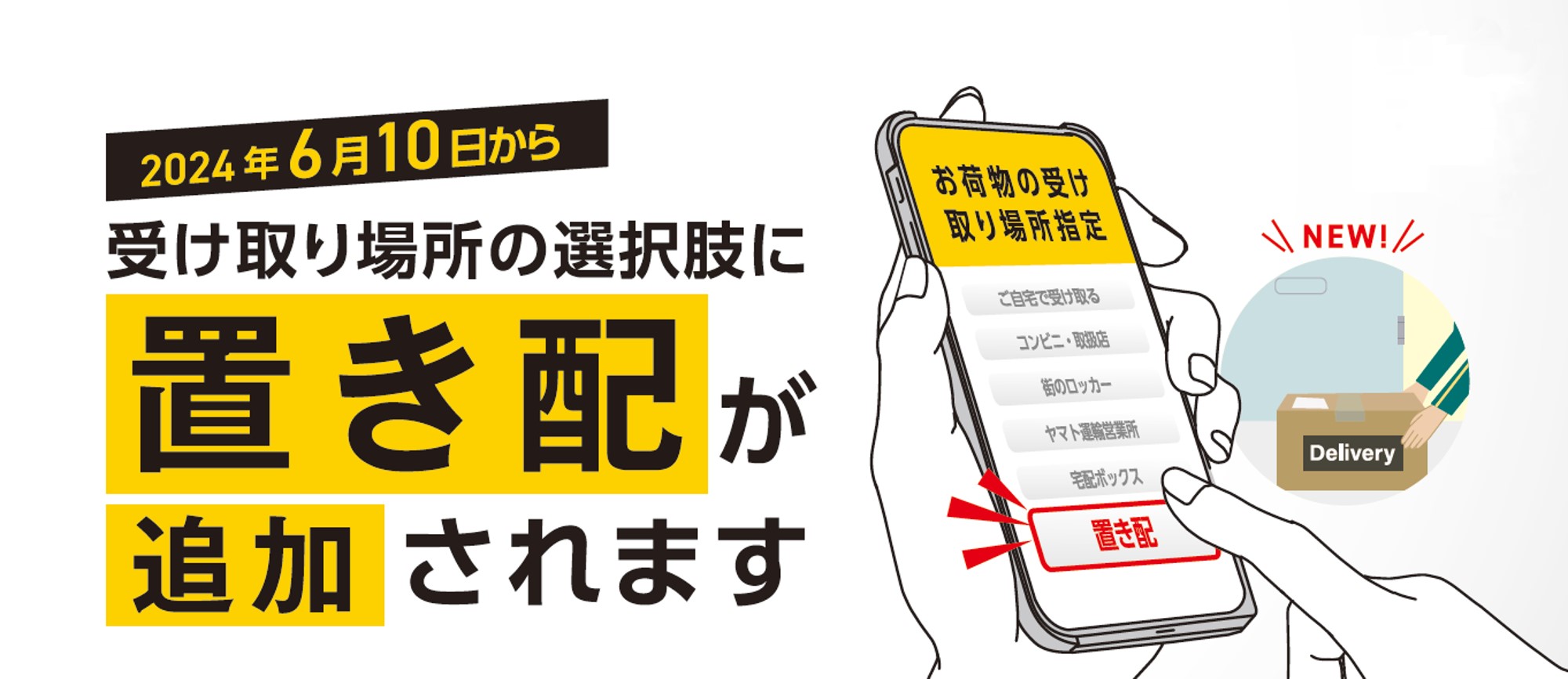 Tillandsia Deborah Ann 着払い宅急便発送 ニャンフェス 猫好きのための雑貨イベント | ブログ