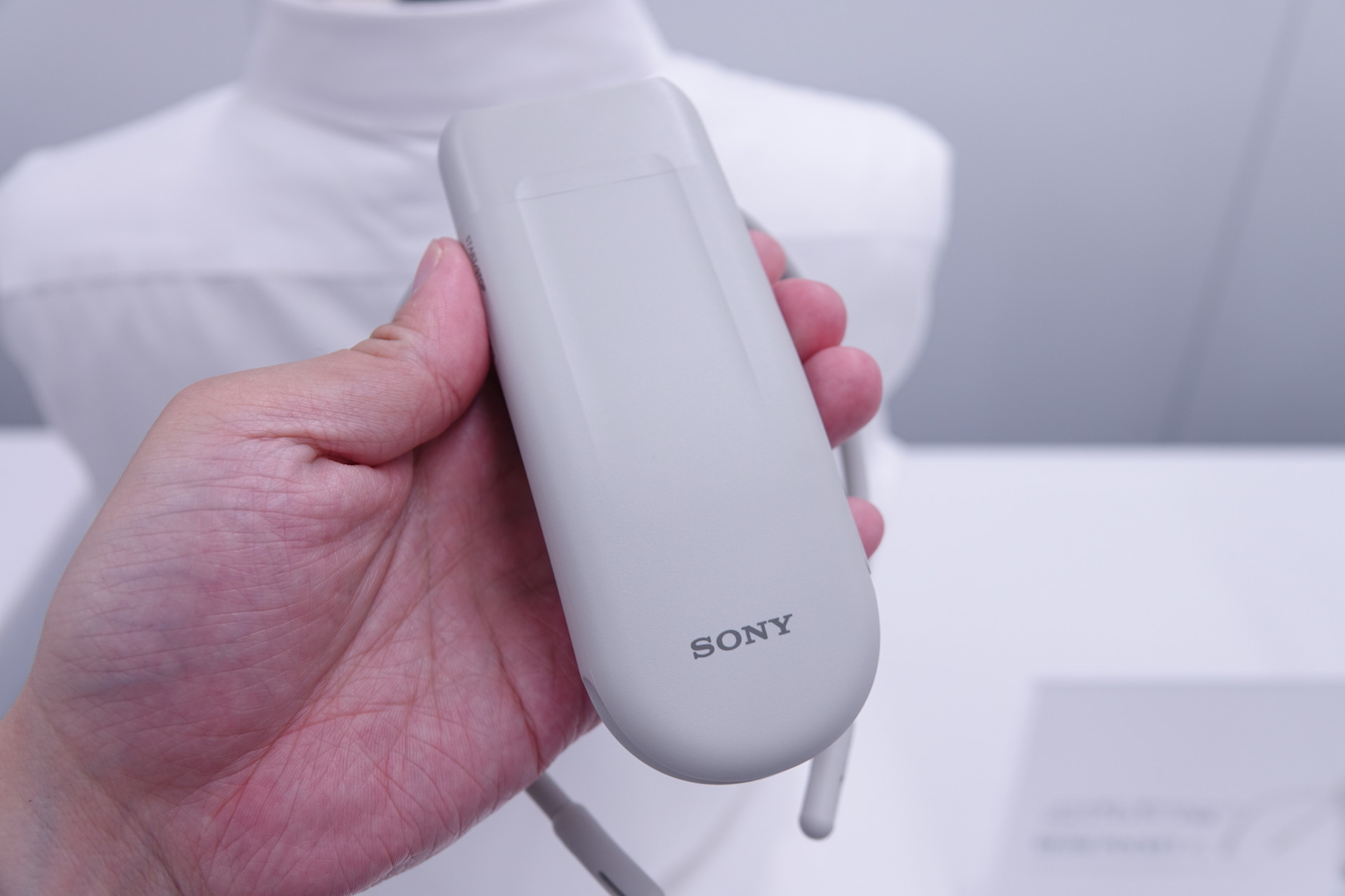 ソニーから「REON POCKET 6」、冷温部が2度低下・本体ボタンでスマホ