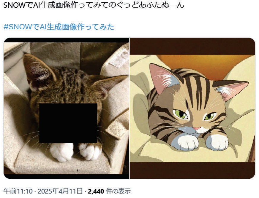 画像加工アプリ「SNOW」がステマ規制違反、消費者庁が措置命令